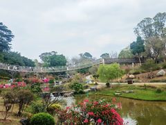 -东莞植物园