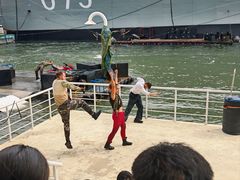 -泰达航母主题公园