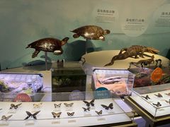 -中国湿地博物馆