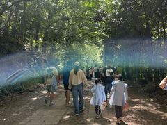 -上海佘山国家森林公园西佘山园