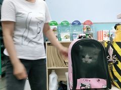 -甄爱宠物医院(疏影路店)