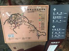 -茶颜悦色(岳麓山顶店)