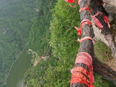 -秦岭终南山世界地质公园翠华山景区