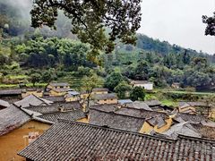 -杨家堂村