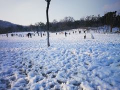 -镇江市南山风景名胜区竹林景区