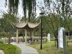 -中山公园