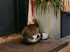 -SeekSeeking咖啡专门店(堰塘街店)