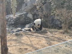 -济南野生动物世界