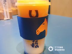 芒果卡士-春丽小马(济南恒隆广场店)