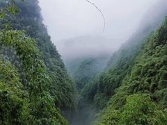 -阿依河景区
