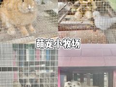 -上海佘山世茂艾美酒店