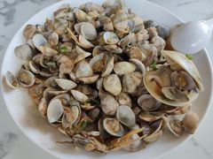 -红树林天天赶海