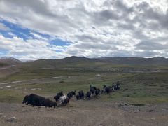-扁都口生态休闲旅游区