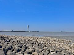 -上海吴淞炮台湾国家湿地公园