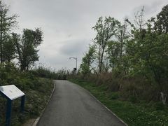 -白鹭湾湿地公园