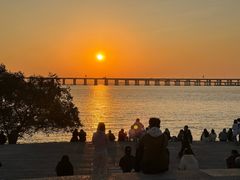 -宝安西湾红树林湿地公园