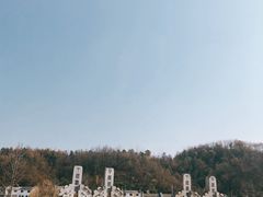 -千年银杏谷文化旅游区