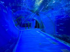 -波塞冬旅游度假区