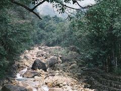 -姑婆山旅游区