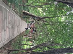 丰都鬼城-丰都鬼城名山景区