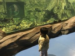 -梦幻海洋王国(吾悦广场张家港店)