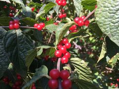 -长春公园(普阳街道)