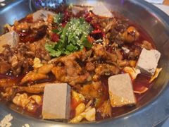 -海岛八号龙虾烧烤田鸡(蓝天路总店)