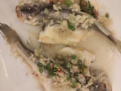-酌宴府The China Club·广州万富希尔顿酒店(云城东路店)