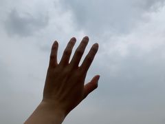 -秀丽东方