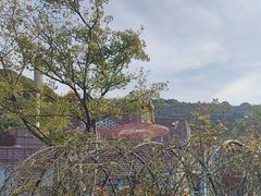 -无锡海洋馆