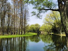 -上海共青森林公园