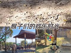 -上海野生动物园