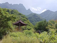 -云岫谷游猎自然风景区