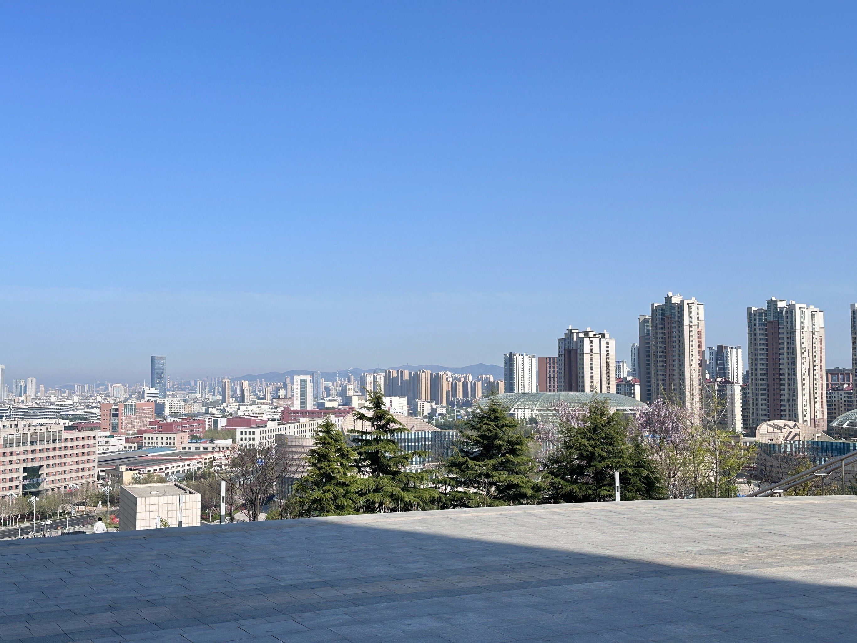 光线充足海天呼应 福莱山公园池塘里面许多锦鲤