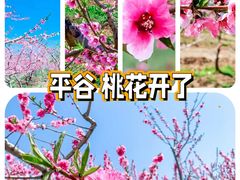 -北京金海湖景区