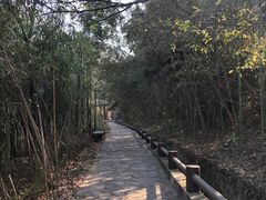 -黄陂区野村谷景区