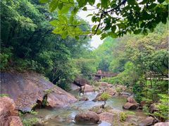 -广州白江湖森林公园