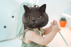 -花开映像儿童摄影