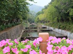 -广州白江湖森林公园