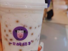 -一只酸奶牛(时代天街A馆店)