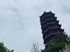 -象山森林公园