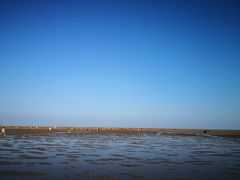 -刘家湾赶海园