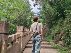 -杭州半山国家森林公园