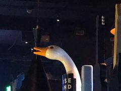 -光音瓦特俱乐部(高新店)