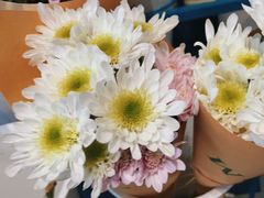 -BOBLOOM花店(宝龙旭辉广场店)