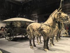 -秦始皇帝陵博物院(兵马俑)