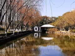 -东平国家森林公园