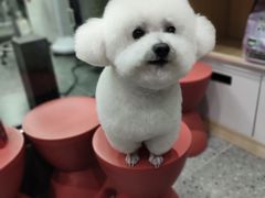 -宠物家(大兴旧宫店)