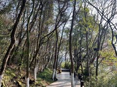 -天目湖山水园