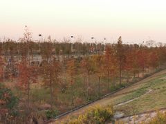 -南汇嘴观海公园